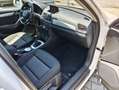 Audi Q3 Q3 2.0 tdi Business quattro 150cv Bianco - thumbnail 8