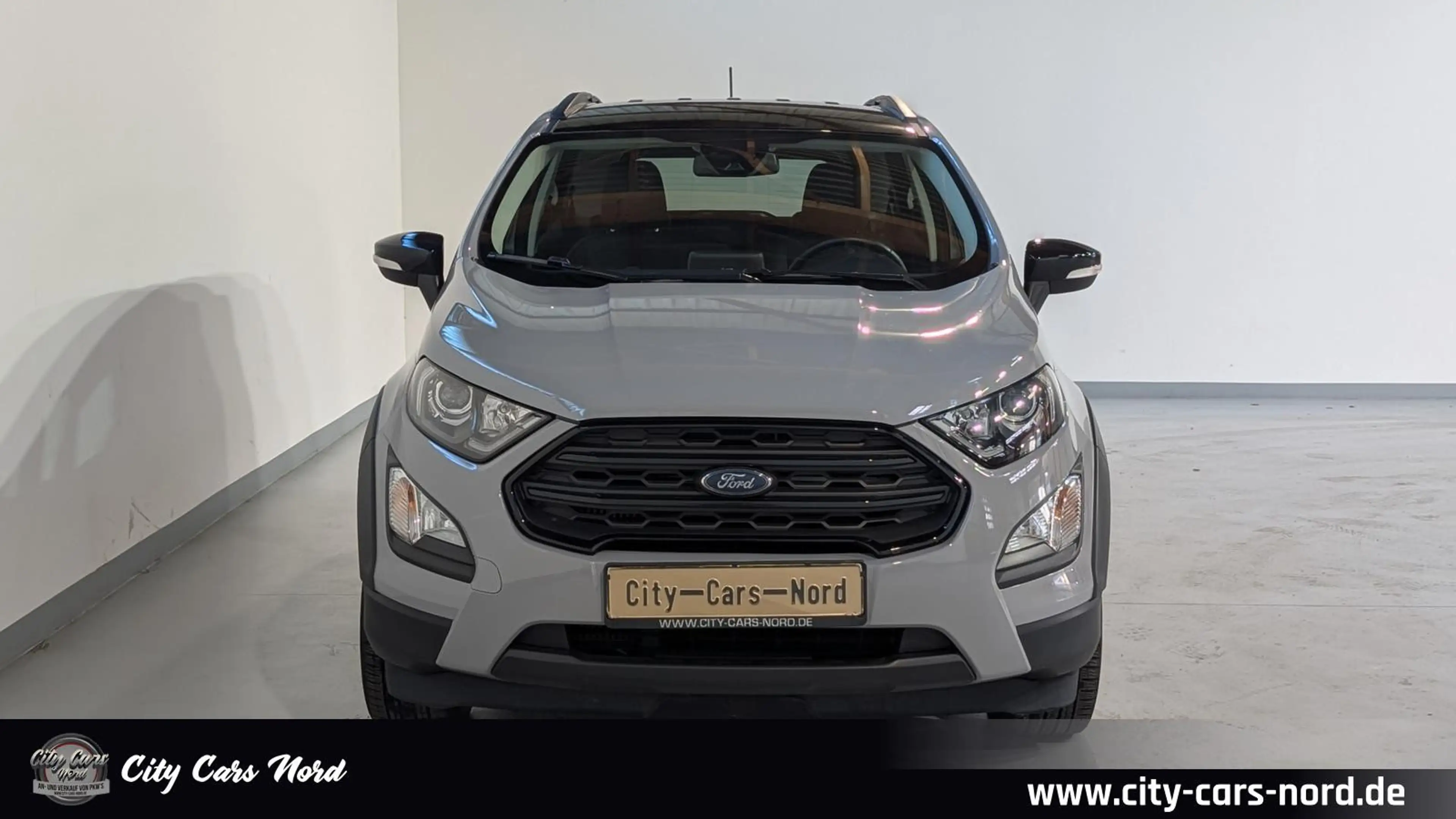Ford EcoSport Active LED+STD.HZ+TEMPO+PDC+LEDER — photo 9