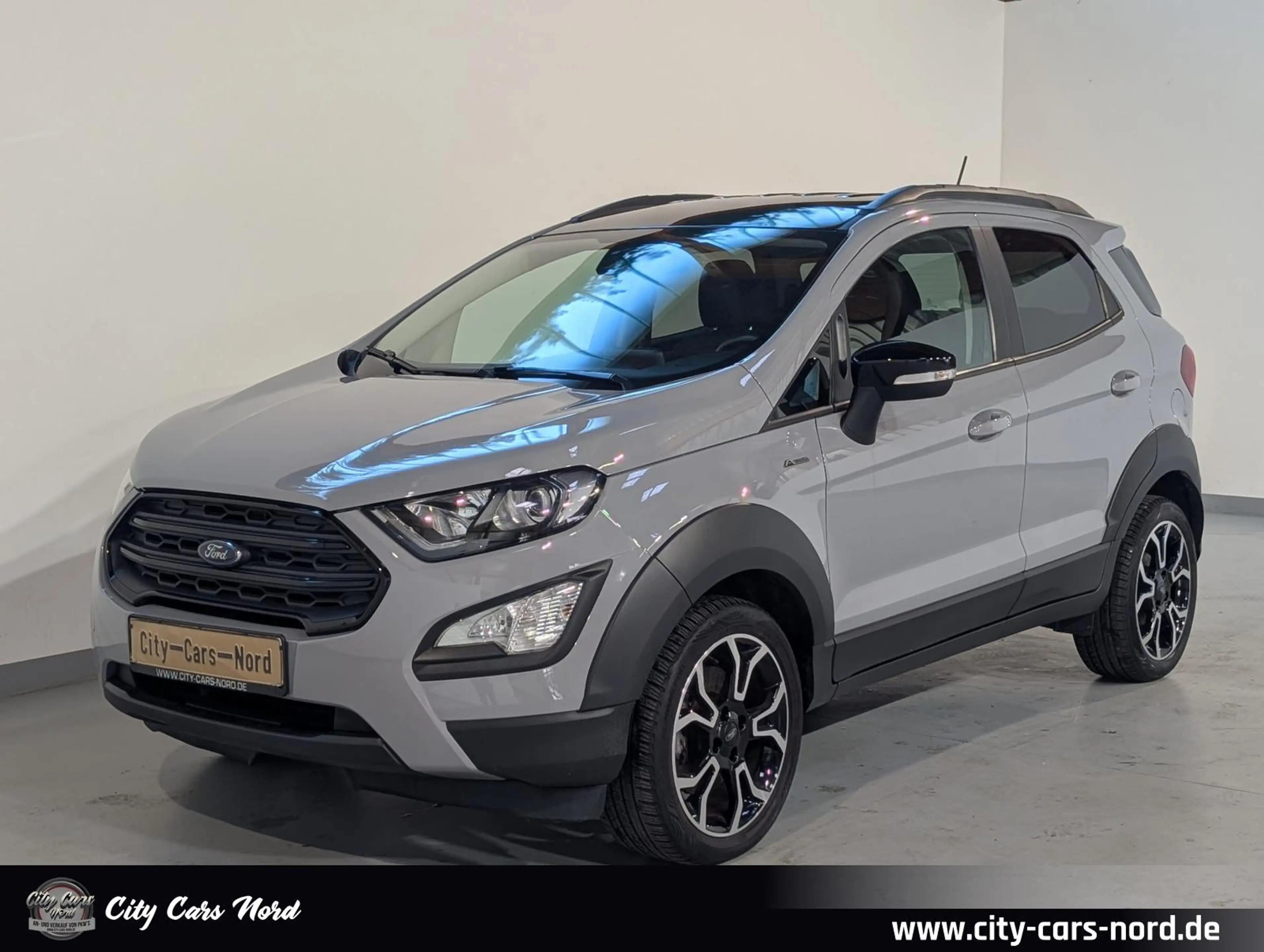 Ford EcoSport Active LED+STD.HZ+TEMPO+PDC+LEDER