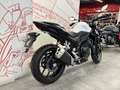 Honda Hornet Blanco - thumbnail 3