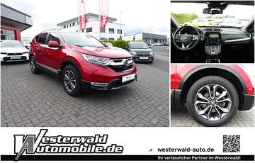 Hybrid 4WD Executive / AHK schwenk.