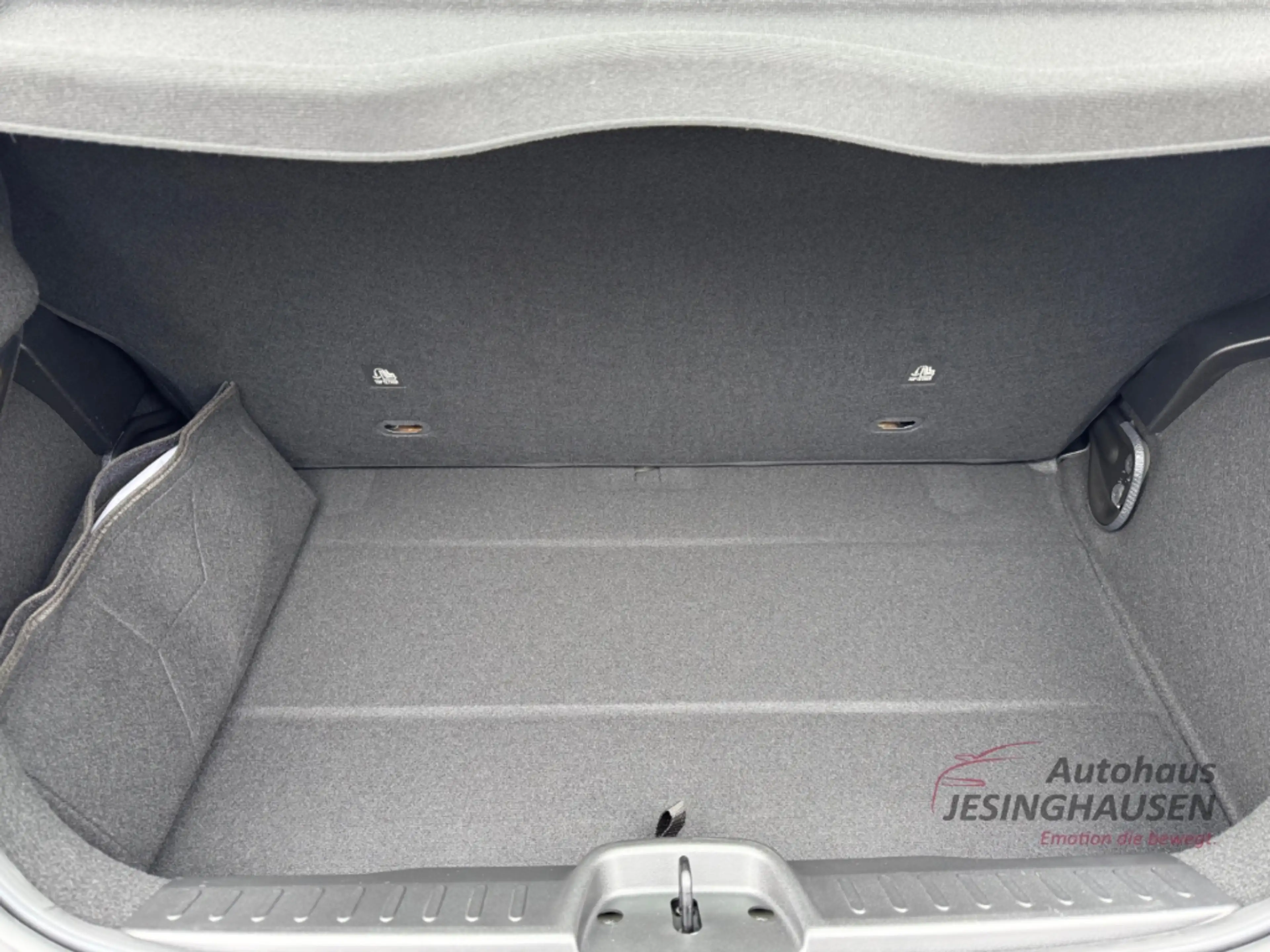 Fiat 500 Icon PDC Tempomat Apple CarPlay Klimaautom Android — photo 15