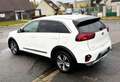 Kia Niro Motion Plug-in Hybrid 1.6 140CV BVA6 13325HT ENTRETIEN A JOUR TBEG Blanc - thumbnail 6
