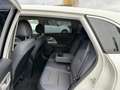 Kia Niro Motion Plug-in Hybrid 1.6 140CV BVA6 13325HT ENTRETIEN A JOUR TBEG Blanc - thumbnail 12