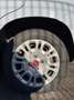 Fiat Panda Panda III 2021 1.0 firefly hybrid Sport s Grigio - thumbnail 11