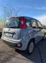 Fiat Panda Panda III 2021 1.0 firefly hybrid Sport s Grigio - thumbnail 6