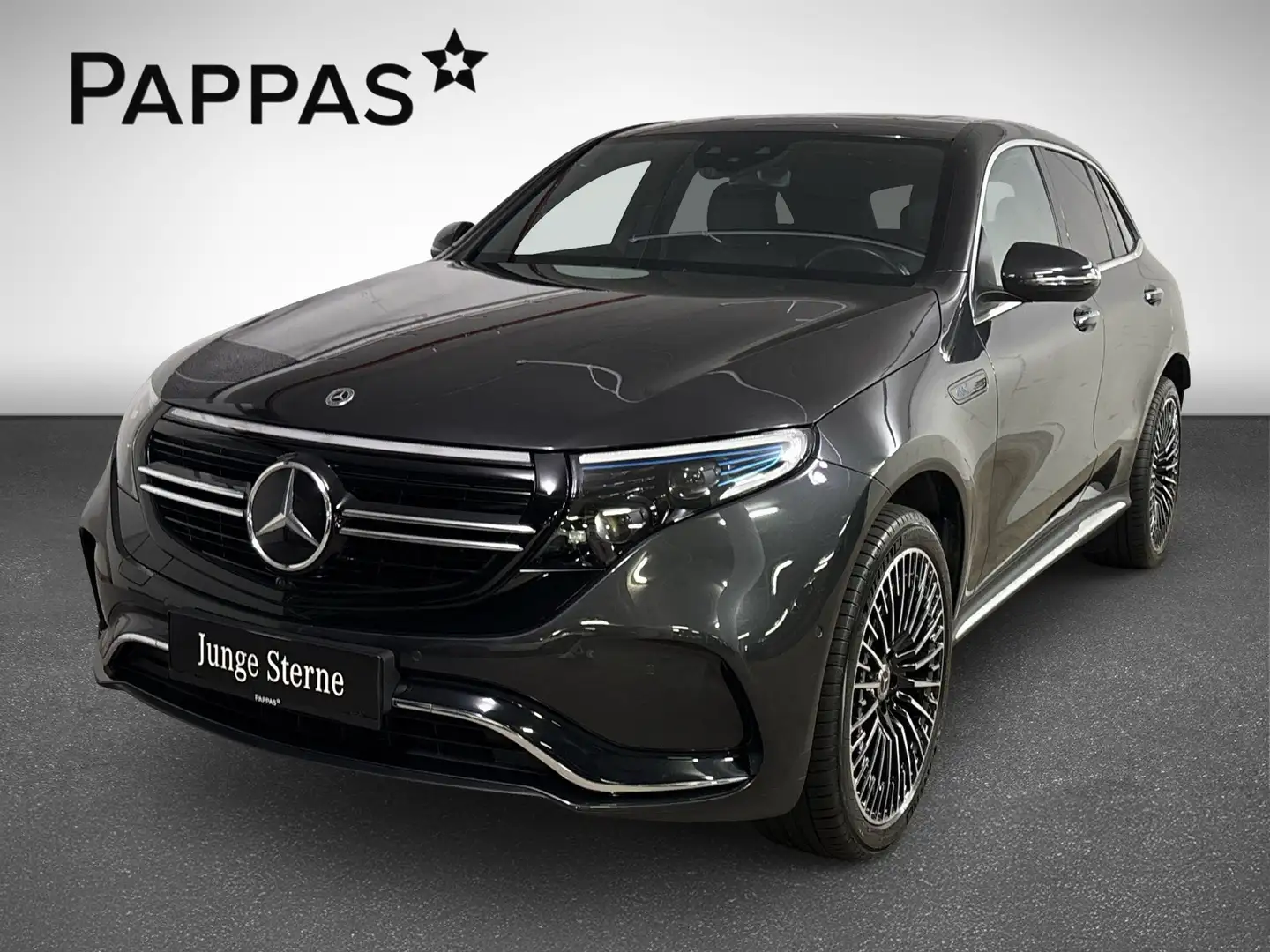 Mercedes-Benz EQC 400 4MATIC PTS Distr SHD LED SHZ EASY-PACK Сірий - 1