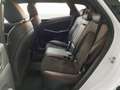 Hyundai TUCSON 1.6 CRDI 100kW (136CV) 48V N-Line 4X2 Bianco - thumbnail 22