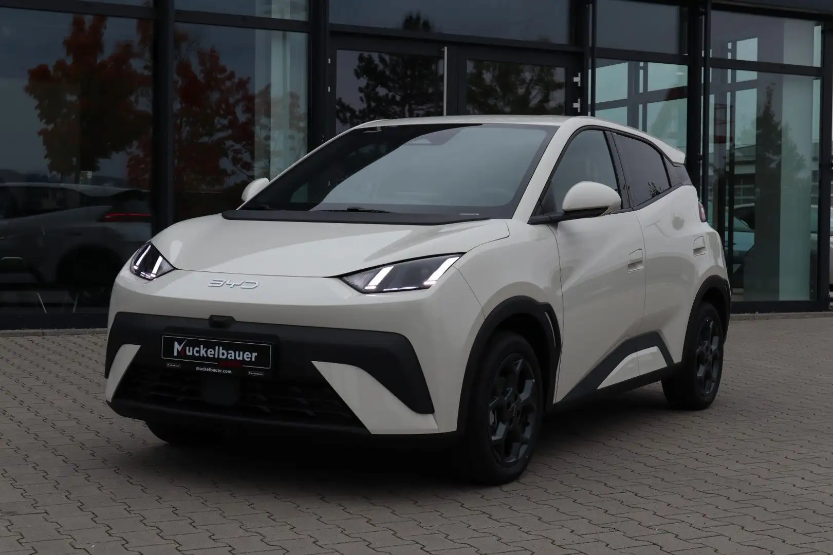 BYD Dolphin SURF Comfort 43kWh BLACK WEEK bis 30.11 Weiß - 2