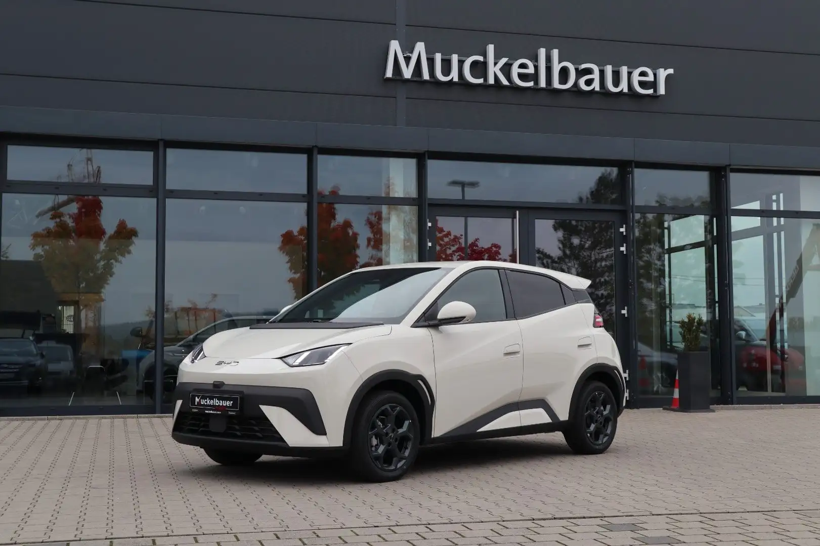 BYD Dolphin SURF Comfort 43kWh BLACK WEEK bis 30.11 Weiß - 1