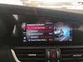 Alfa Romeo Giulia (2016) - Giulia 2.0 Turbo 280 CV AT8 AWD Q4 Ti Rot - thumbnail 20