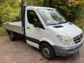 Mercedes-Benz Sprinter 313 CDI Sprinter Pritsche Weiß - thumbnail 2