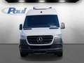 Mercedes-Benz Sprinter 316 CDI Kühlkasten Frischd.0°+Standkühlung Blanc - thumbnail 3