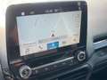 Ford EcoSport 1.0 EcoBoost 125 CV Start&Stop Titanium Grijs - thumbnail 11