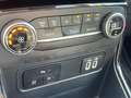 Ford EcoSport 1.0 EcoBoost 125 CV Start&Stop Titanium Grijs - thumbnail 9