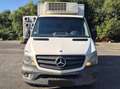 Mercedes-Benz Sprinter 316 CDI Kühlkoffer / AHK Alb - thumbnail 2