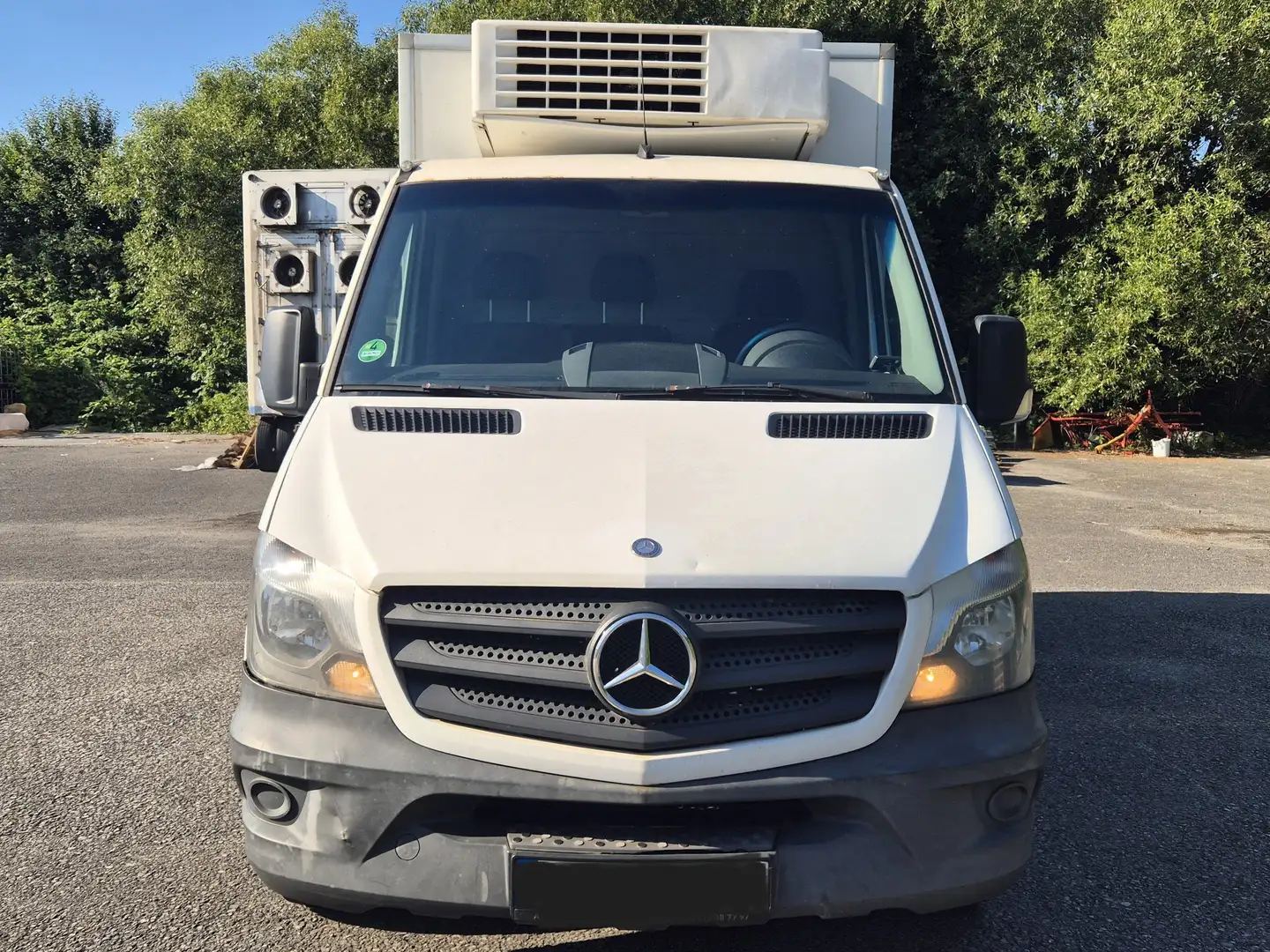 Mercedes-Benz Sprinter 316 CDI Kühlkoffer / AHK Alb - 2