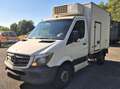 Mercedes-Benz Sprinter 316 CDI Kühlkoffer / AHK Alb - thumbnail 3