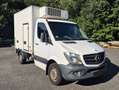Mercedes-Benz Sprinter 316 CDI Kühlkoffer / AHK Alb - thumbnail 1