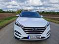 Hyundai TUCSON 2.0 CRDi 4WD Automatik Blanc - thumbnail 8
