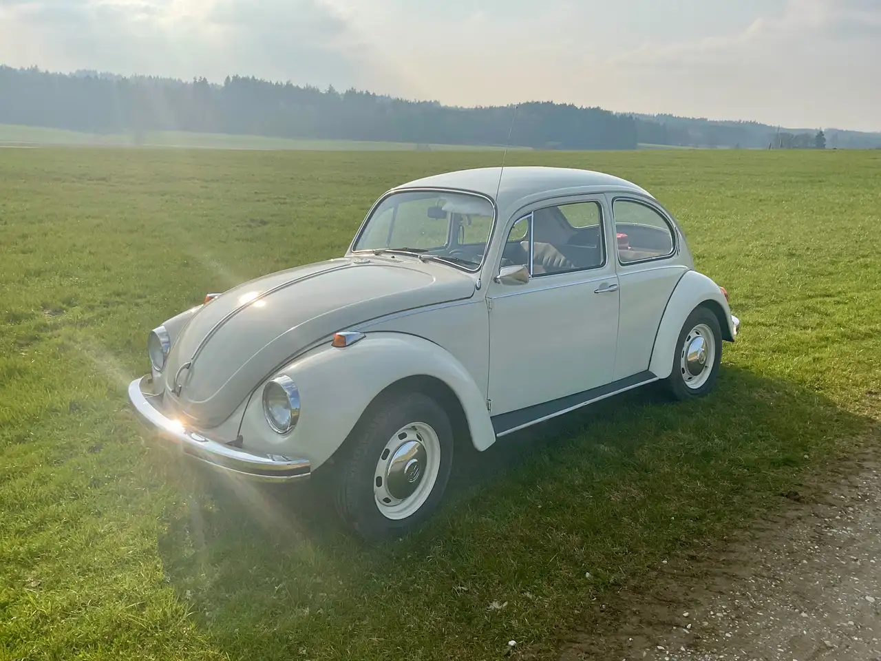 Volkswagen Käfer, foto 3