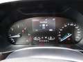 Ford Focus 1,5Tdci-Aut.*120Ps*LED*NAVI*ACC*NEU MODEL Grau - thumbnail 21