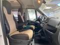 Fiat Ducato Weinsberg Wohnmobil Outlaw Carabus XXL Grau - thumbnail 21