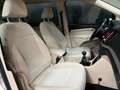 SEAT Alhambra 1.4 TSI Style 150PK, NAP, Airco, Cruise, Multistuu siva - thumbnail 14