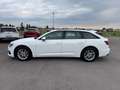 Audi A6 Avant 40 TDI quattro S-tronic Weiß - thumbnail 7