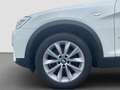 BMW X4 xDrive20d +nur an Händler/Export+ Wit - thumbnail 15