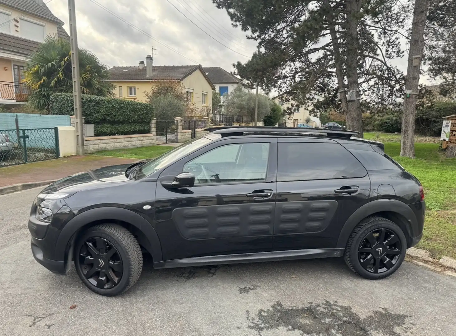 Citroen C4 Cactus PureTech 110 S&S Shine Edition - 1