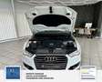 Audi A6 Avant 3.0 TDI clean diesel quattro. Weiß - thumbnail 23