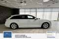 Audi A6 Avant 3.0 TDI clean diesel quattro. Weiß - thumbnail 11