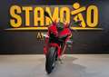 QJ Motor skr 800 rr Rosso - thumbnail 3