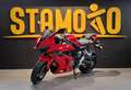 QJ Motor skr 800 rr Rosso - thumbnail 4