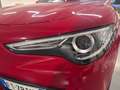 Alfa Romeo Stelvio 2.2 t Executive Q4 210cv auto Rosso - thumbnail 6