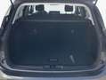 Ford Focus Turnier 1.0 Mild-Hybrid TITANIUM Winter-p Grau - thumbnail 5
