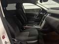Land Rover Discovery Sport Discovery Sport I 2015 2.0 td4 Pure awd 150cv auto Blanc - thumbnail 4