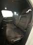 Ford Kuga 3ª SERIE 2.5 PLUG IN HYBRID 225 CV CVT 2WD ST-LINE Weiß - thumbnail 9