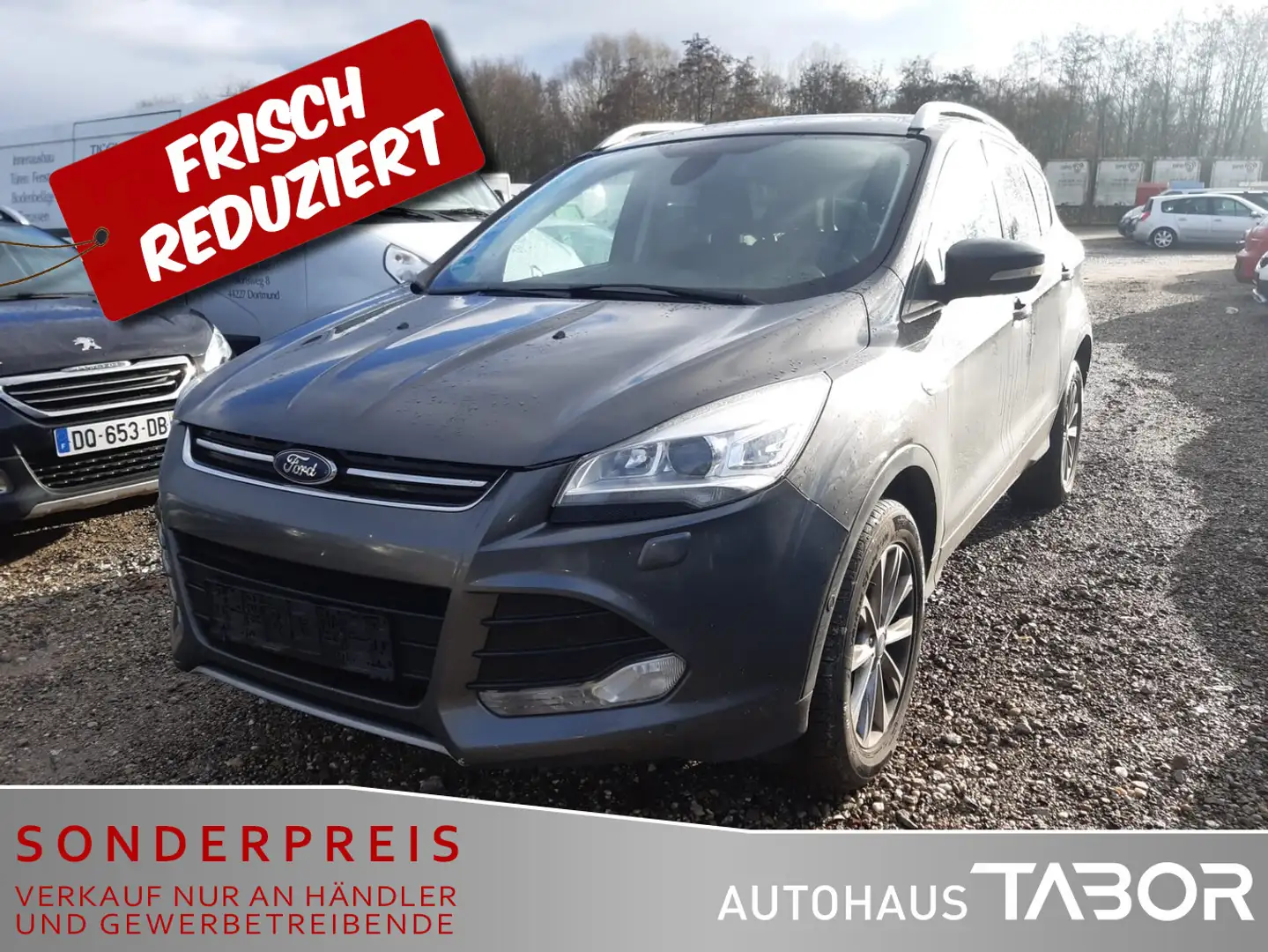 Ford Kuga 2.0 TDCi 4x4 Titanium Auto Nav PDC SHZ Klim Grau - 1