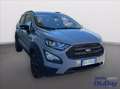 Ford EcoSport 1.0 ecoboost active s&s 125cv Gris - thumbnail 3