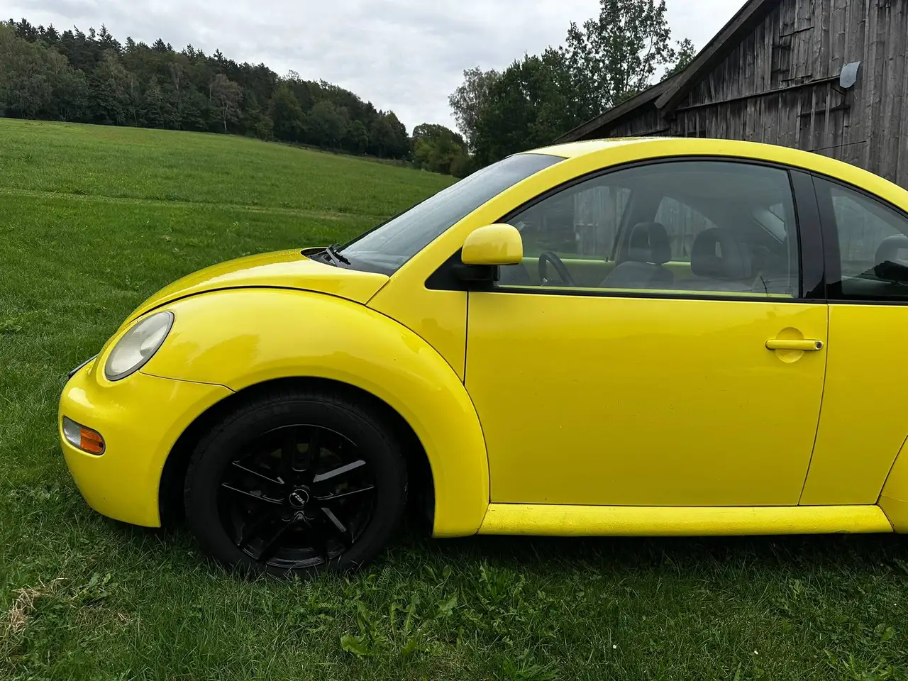 Volkswagen New Beetle 2.0, foto 2