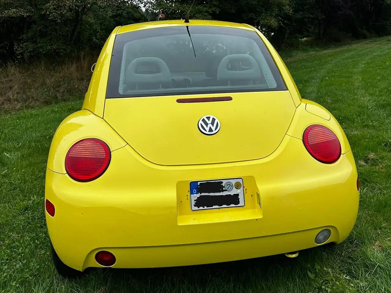 Volkswagen New Beetle 2.0, foto 4