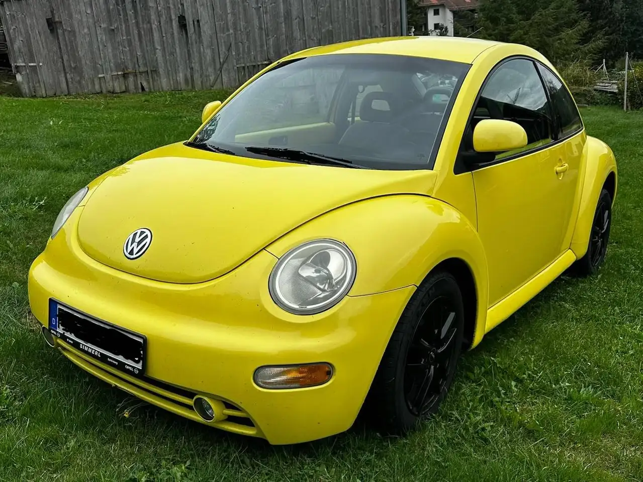 Volkswagen New Beetle 2.0, foto 1