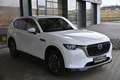 Mazda CX-60 3.3L e-SKYACTIV D AWD EXC-LINE Aut. ACC, AHK el... Weiß - thumbnail 18
