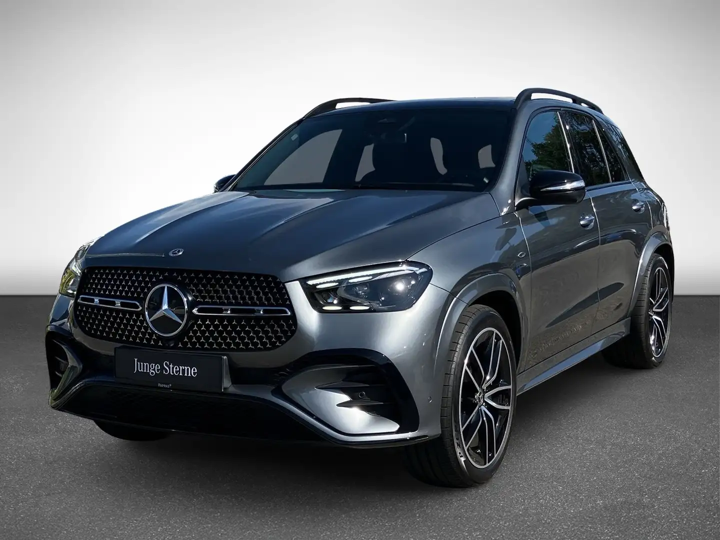 Mercedes-Benz GLE 350 de 4MATIC SHZ EASY-PACK Grau - 2