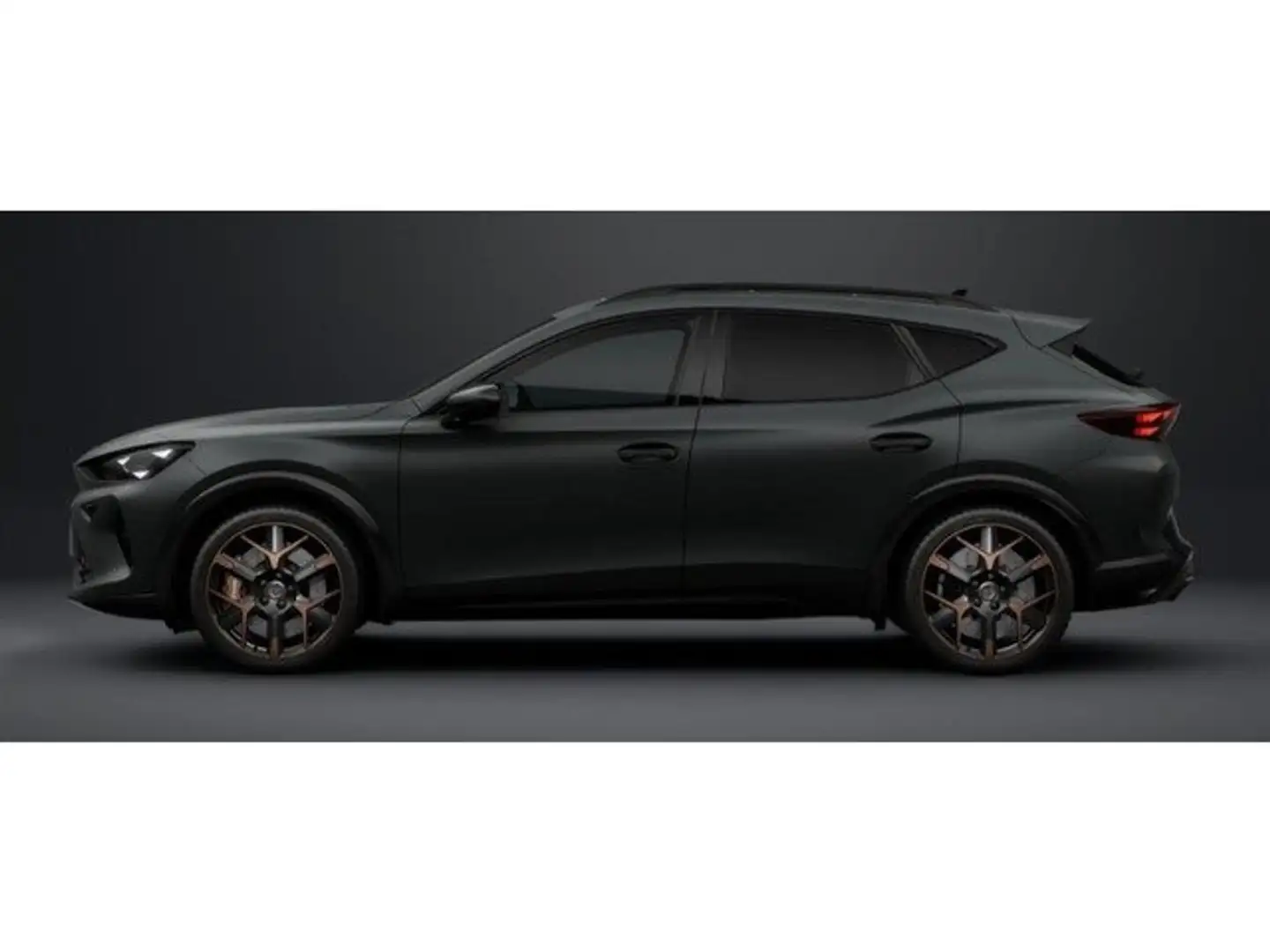 CUPRA Formentor 2.0 TSI VZ Extreme 195 DSG Gris - 2