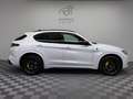 Alfa Romeo Stelvio Quadrifoglio Q4|AKRAPOVIC|PANO|Schale| Weiß - thumbnail 4