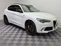 Alfa Romeo Stelvio Quadrifoglio Q4|AKRAPOVIC|PANO|Schale| Weiß - thumbnail 5