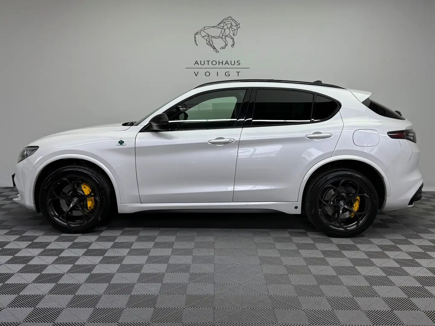 Alfa Romeo Stelvio Quadrifoglio Q4|AKRAPOVIC|PANO|Schale| Weiß - 1